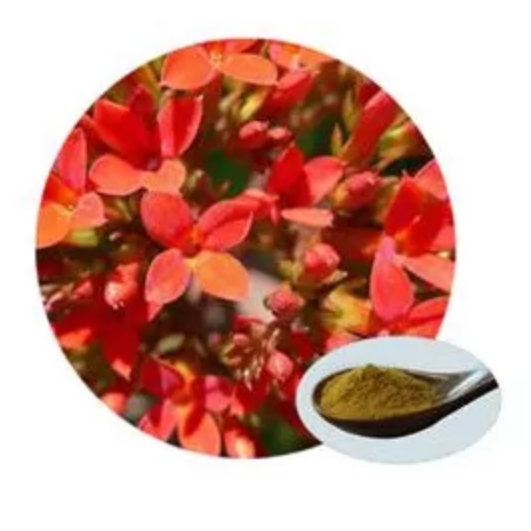CAS 10338-51-9サリドロシド栄養補助食品天然植物抽出物誘導体