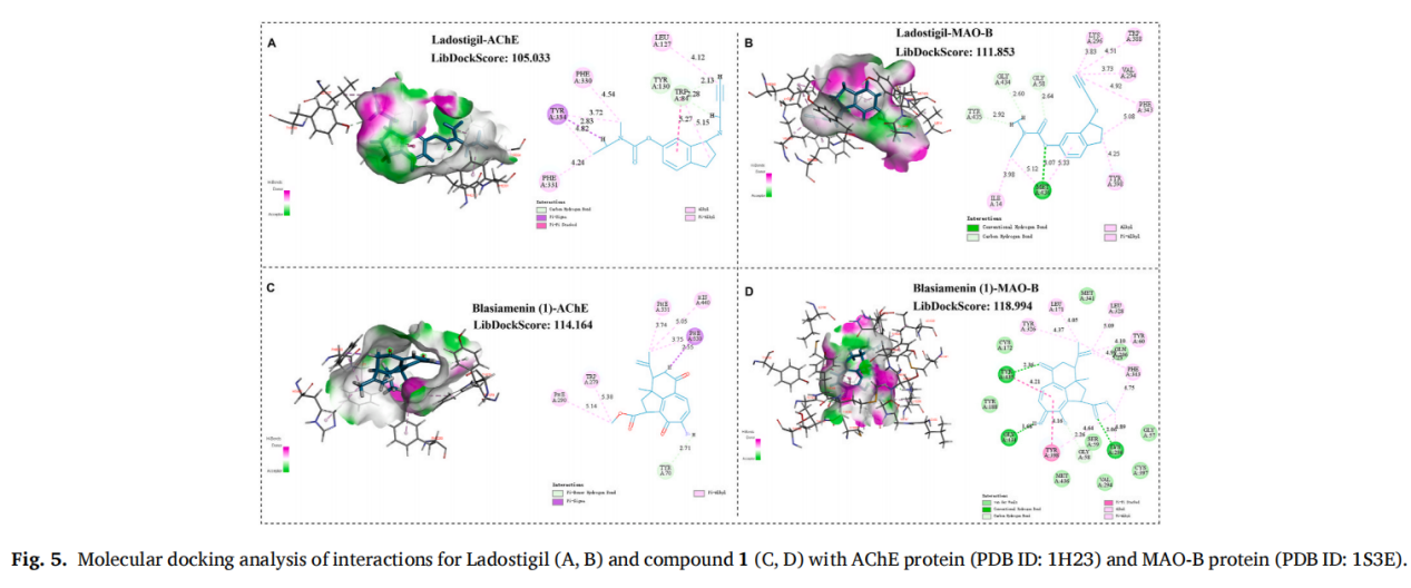 ブラシアメニン、ブラキア・シアメンシス(無錫遠進製薬製パルミトイレタノルミドおよびウラシル)からの新規再配列ジノール-ジテルペノイド